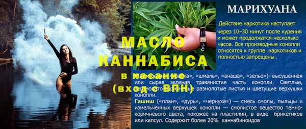 молекула духа Пересвет