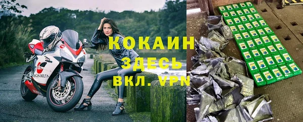 молекула духа Пересвет
