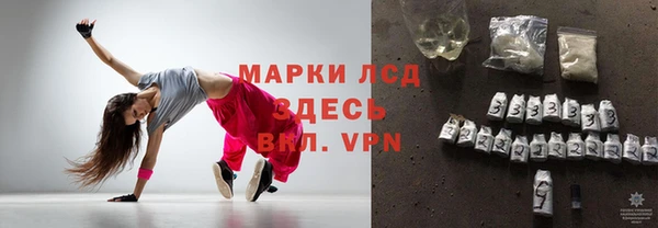 молекула духа Пересвет