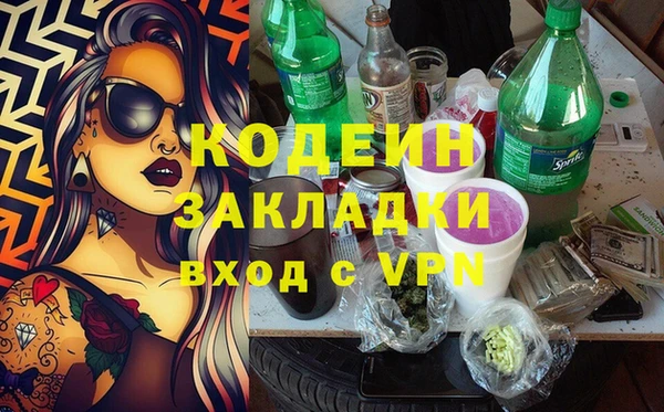 молекула духа Пересвет
