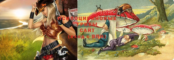молекула духа Пересвет