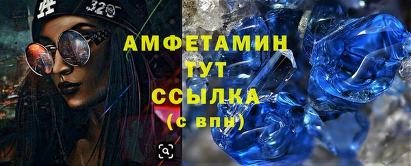 молекула духа Пересвет