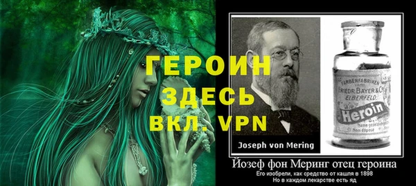 молекула духа Пересвет