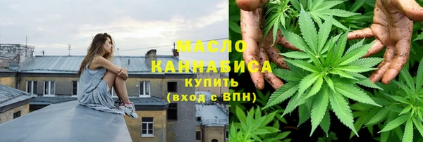 молекула духа Пересвет