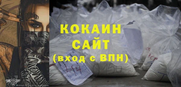 молекула духа Пересвет
